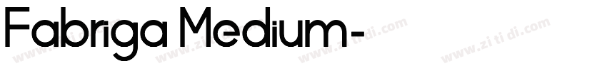 Fabriga Medium字体转换